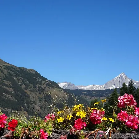 Διαμέρισμα Tuerkis