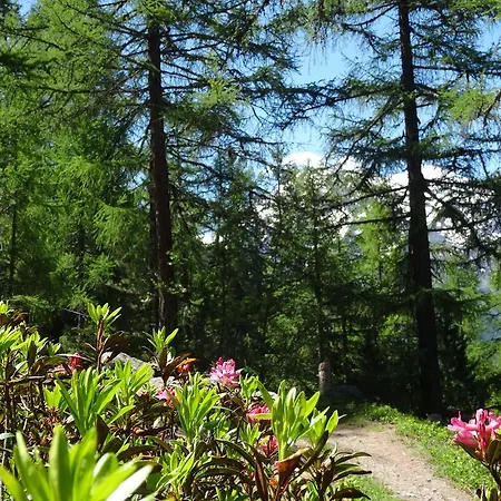 Tuerkis Διαμέρισμα Grächen