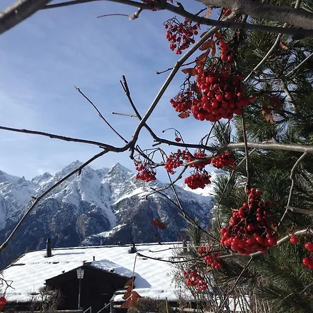 Tuerkis Διαμέρισμα