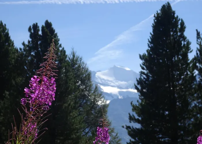 Tuerkis アパート グレヘン