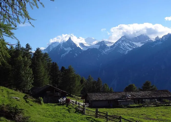 Tuerkis * グレヘン