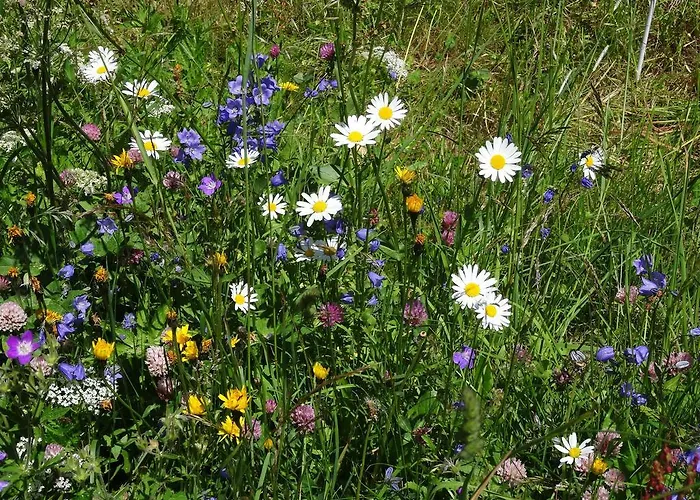 Tuerkis アパート *