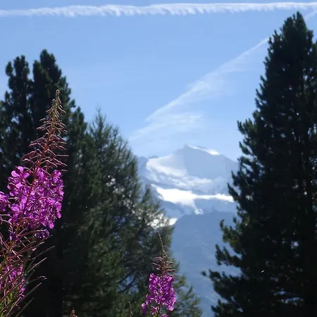Tuerkis Apartman Grächen